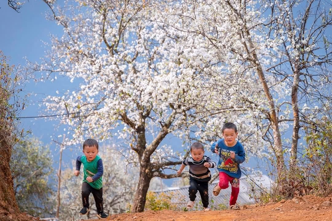 4-Day Cycling Tour: Hanoi to Ngoc Chien & Nam Nghiep